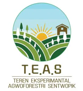 James Vergneau Terrain expérimental en agroforesterie syntropique